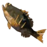 Roasted Hearty Bass