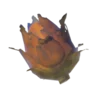 Roasted Voltfruit
