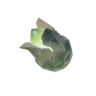 Brightbloom Seed
