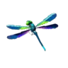 Cold Darner