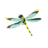 Electric Darner