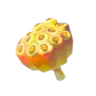 Fleet-Lotus Seeds