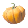 Fortified Pumpkin
