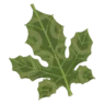 Korok Frond