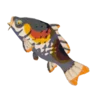 Sanke Carp