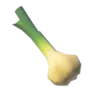 Stambulb