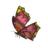 Summerwing Butterfly