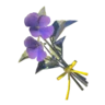 Swift Violet