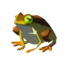 Tireless Frog