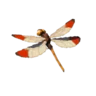 Warm Darner