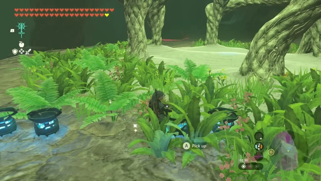 Cluster of cave plants and mushrooms that can be picked up in the Depths Cluster of cave plants and mushrooms that can be picked up in the Depths