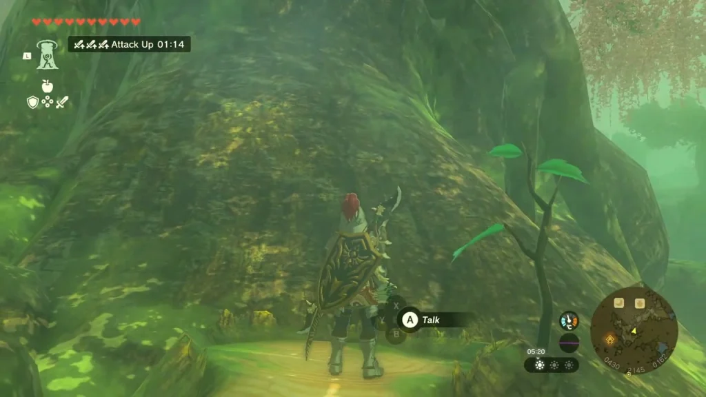 Great Deku Tree with the talk prompt in front of its roots Great Deku Tree with the talk prompt in front of its roots