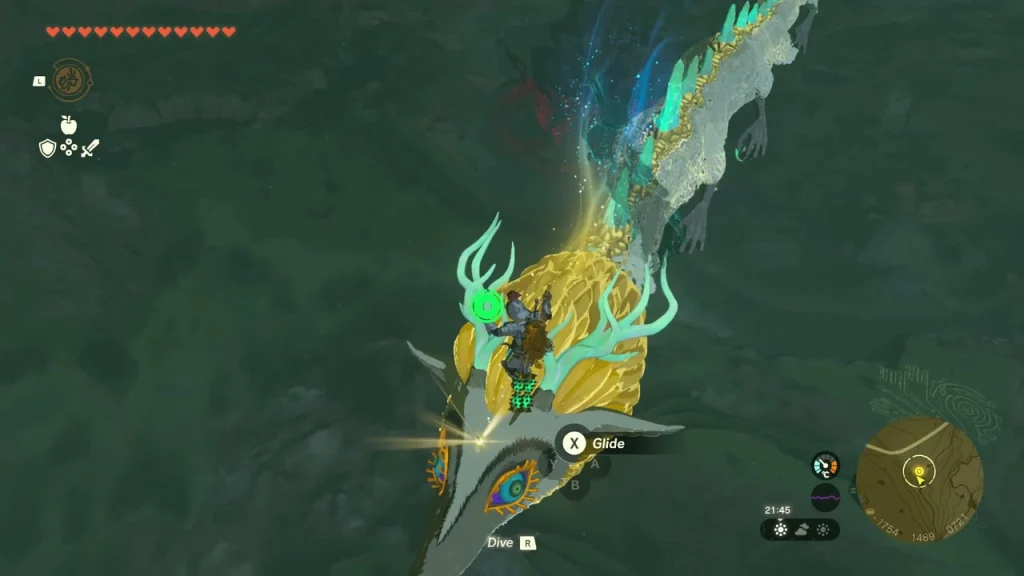 Light Dragon's head and golden mane below the glider Light Dragon's head and golden mane below the glider
