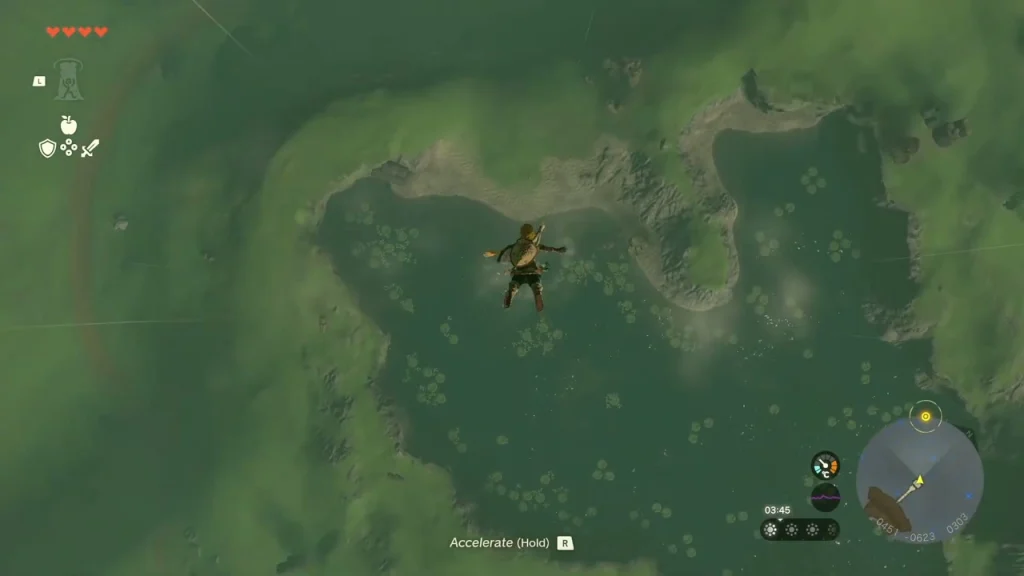 Lily-covered pond in the green valley of Hyrule Field seen from above Lily-covered pond in the green valley of Hyrule Field seen from above