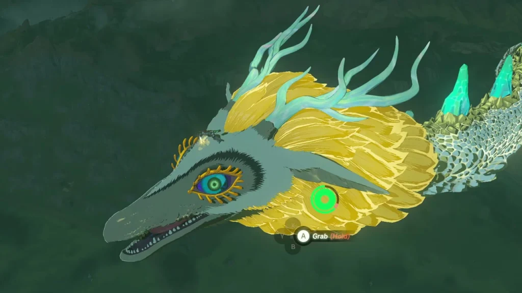 Head of the Light Dragon with the Master Sword grab prompt Head of the Light Dragon with the Master Sword grab prompt