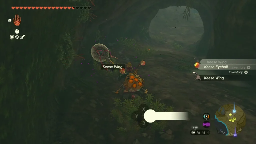 Keese Wing dropped on the cave floor Keese Wing dropped on the cave floor