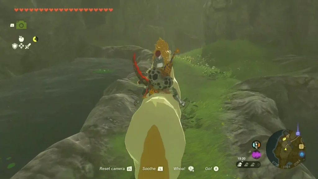 Riding the white stallion through a green valley Riding the white stallion through a green valley