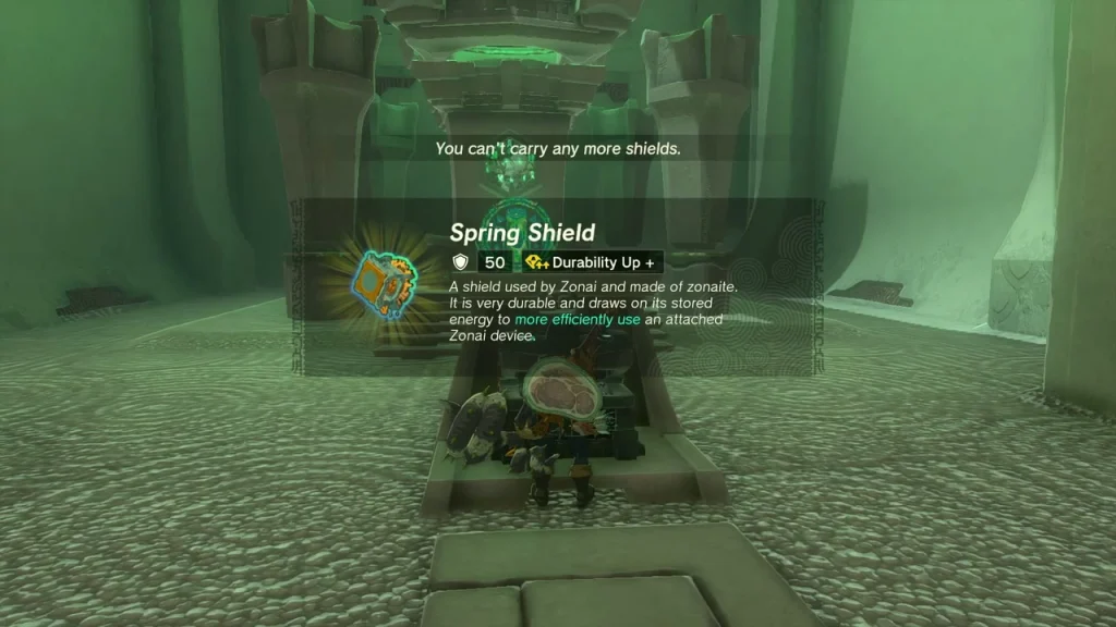 Spring Shield item box shown after opening the chest Spring Shield item box shown after opening the chest