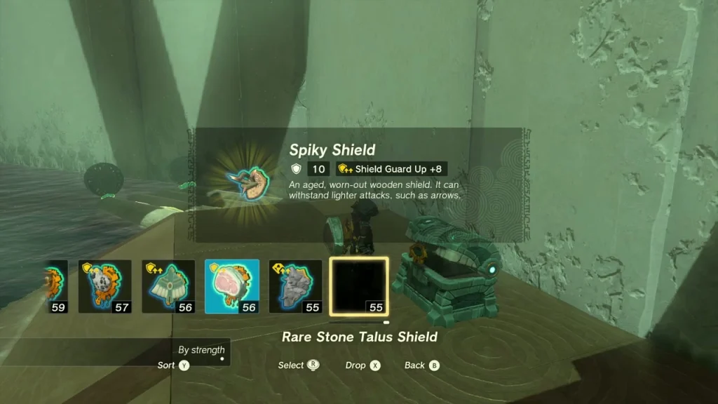 Spiky Shield item box shown after opening the chest