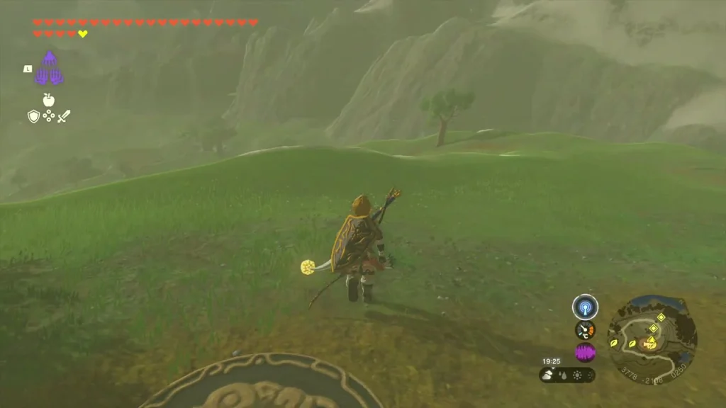 Grassy slope below the lab where the shrine sensor picks up a signal