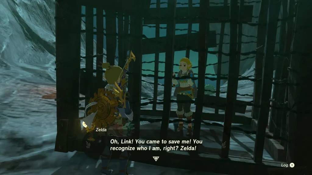 Black wooden cage holding a figure dressed as Princess Zelda