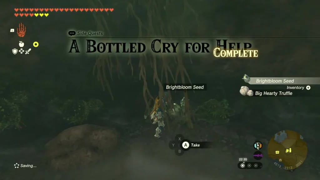 A Bottled Cry for Help complete banner in Mapla Point Cave