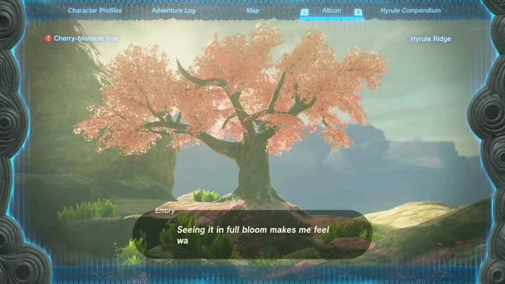 Album photo of the cherry-blossom tree on Satori Mountain