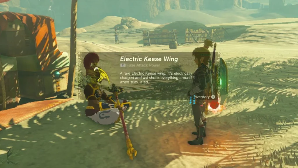 Electric Keese Wing item box beside Boraa Electric Keese Wing item box beside Boraa