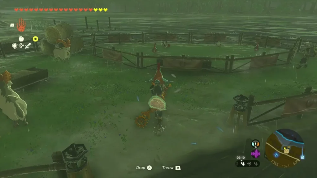Fenced Cucco pen at Riverside Stable with a Cucco being returned Fenced Cucco pen at Riverside Stable with a Cucco being returned