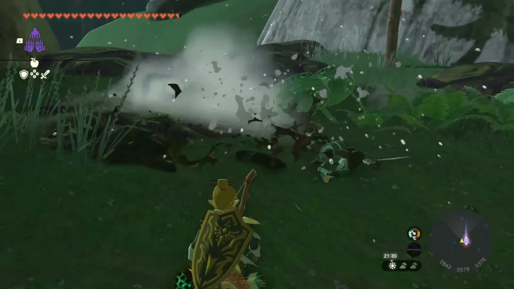 Splash Fruit bursting on the sludge covering the Zora Splash Fruit bursting on the sludge covering the Zora