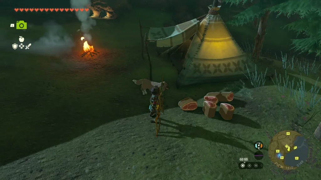 Raw meat on the ground beside the tent as the dog eats Raw meat on the ground beside the tent as the dog eats
