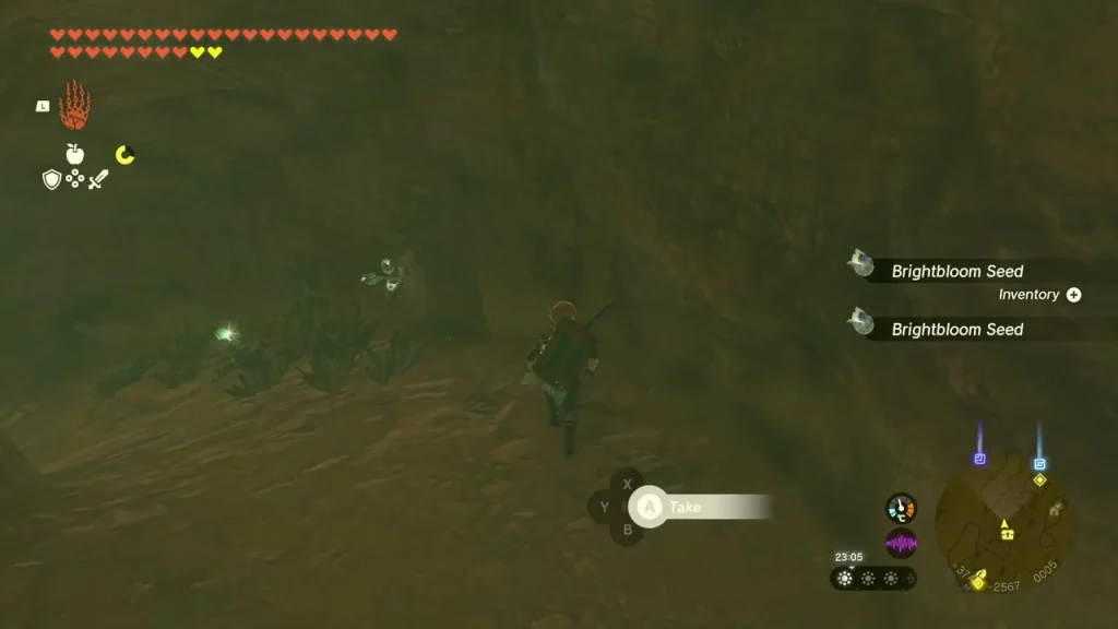Brightbloom Seeds picked up in the dark sanctuary Brightbloom Seeds picked up in the dark sanctuary