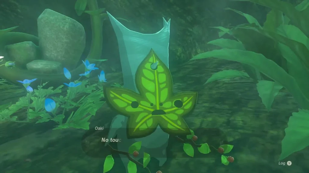 Blue Nightshade flower with a Take prompt among the ferns Blue Nightshade flower with a Take prompt among the ferns