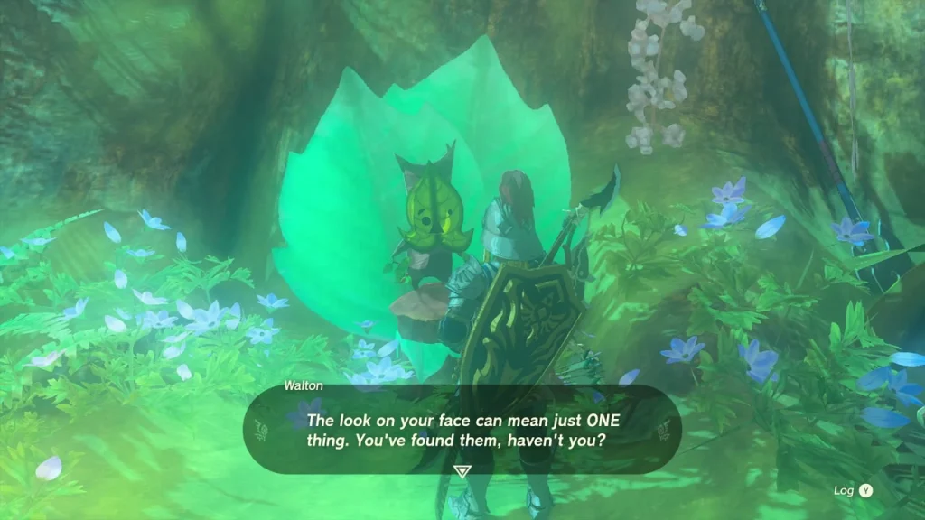 Walton inside a big green leaf shelter on the Great Deku Tree Walton inside a big green leaf shelter on the Great Deku Tree