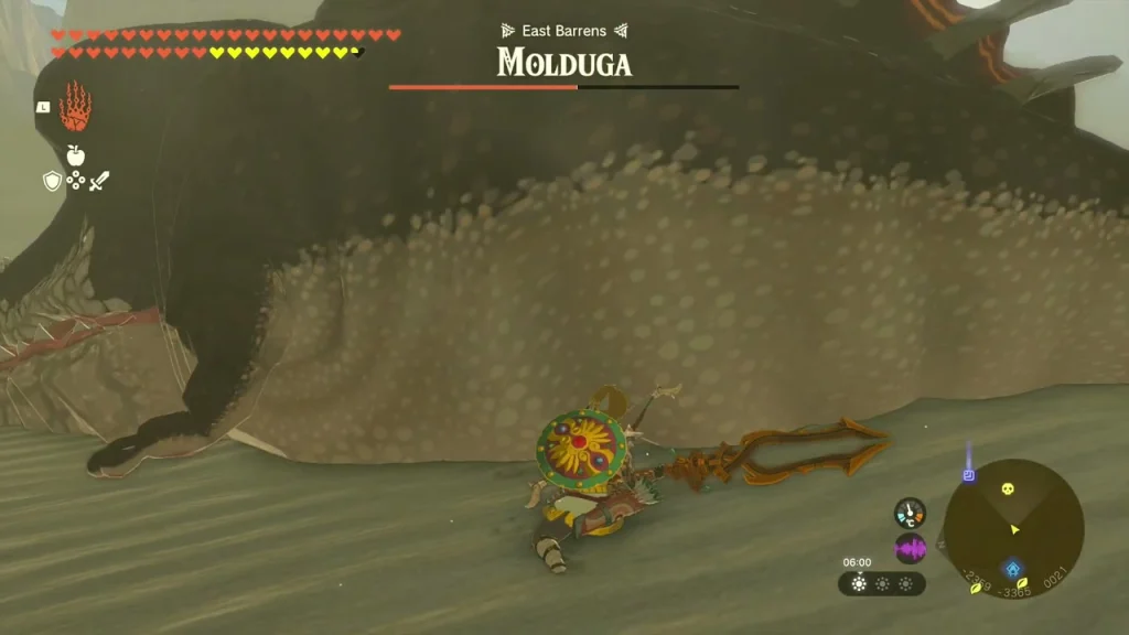 Molduga's armored body lying on the sand Molduga's armored body lying on the sand
