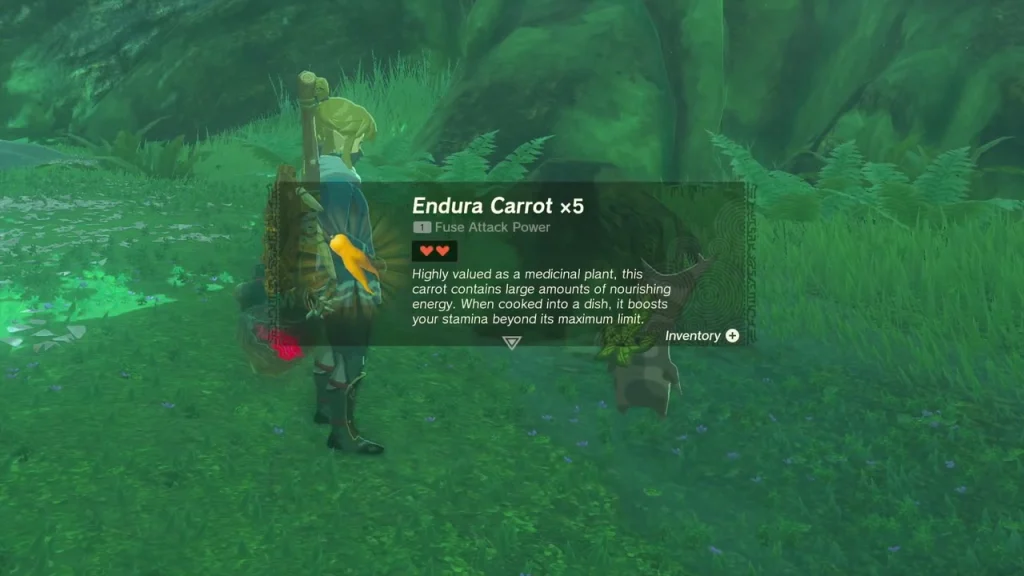Endura Carrot x5 item box beside Kula in Korok Forest