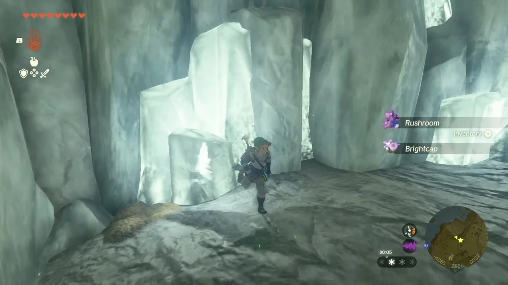 Rushroom and Brightcap growing in the crystal haven Rushroom and Brightcap growing in the crystal haven