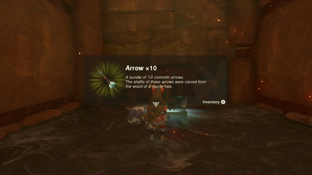 Arrow x10 item box from the chest in the entrance side room Arrow x10 item box from the chest in the entrance side room