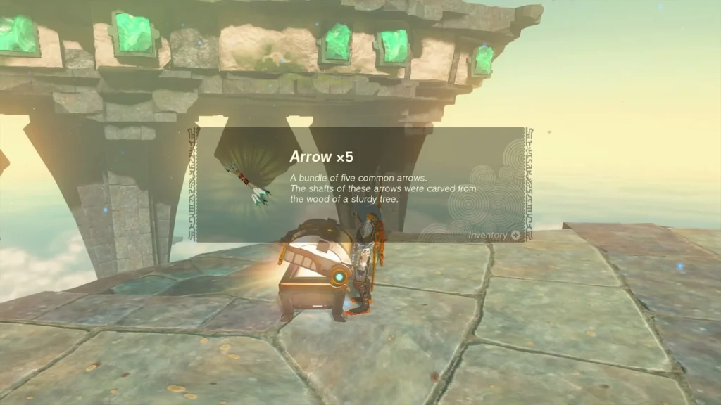 Arrow x5 item box from the chest opened beside a water bubble Arrow x5 item box from the chest opened beside a water bubble