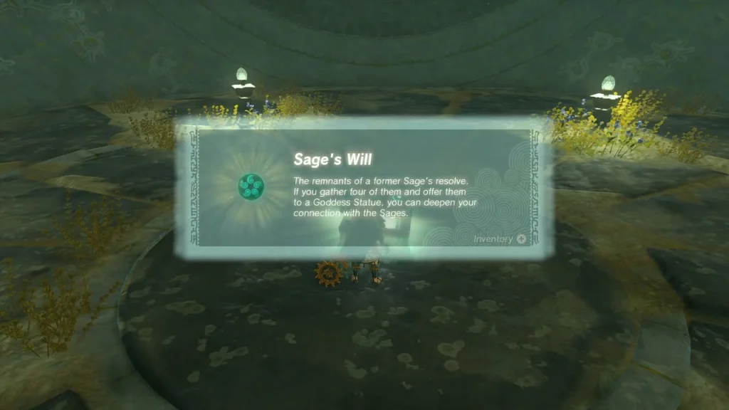 Sage's Will item box above the dark sky platform Sage's Will item box above the dark sky platform