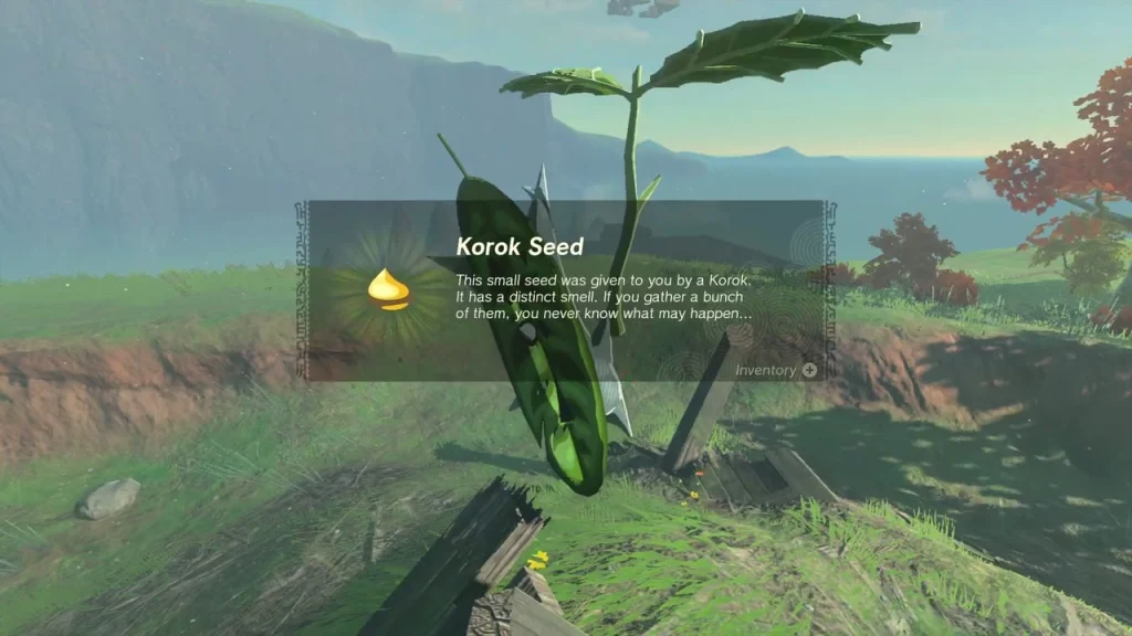 Korok Seed item box on a grassy slope above the coast Korok Seed item box on a grassy slope above the coast