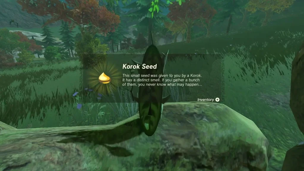 Korok Seed item box on a boulder in the forest Korok Seed item box on a boulder in the forest