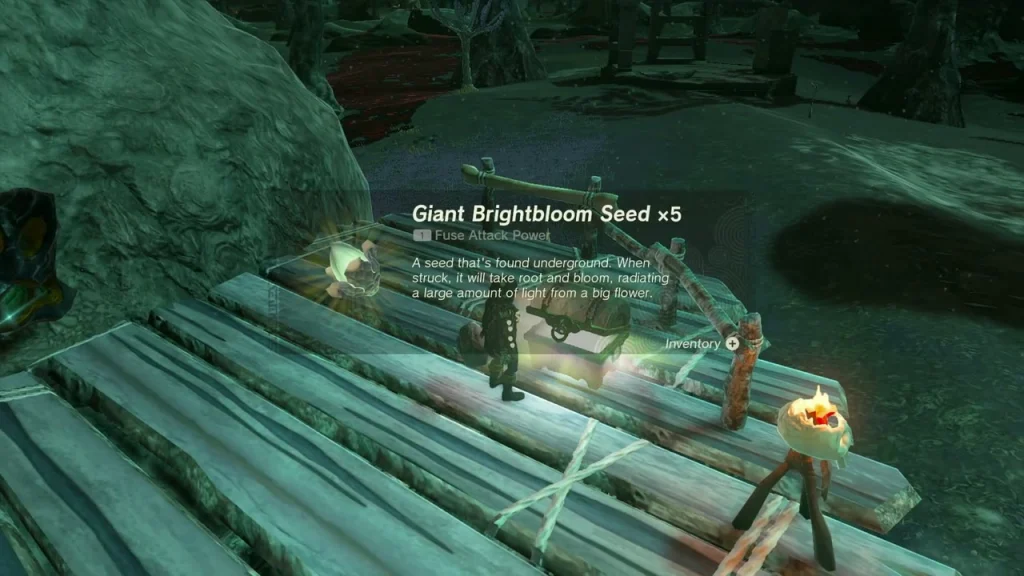 Giant Brightbloom Seed x5 reward at the platform chest Giant Brightbloom Seed x5 reward at the platform chest