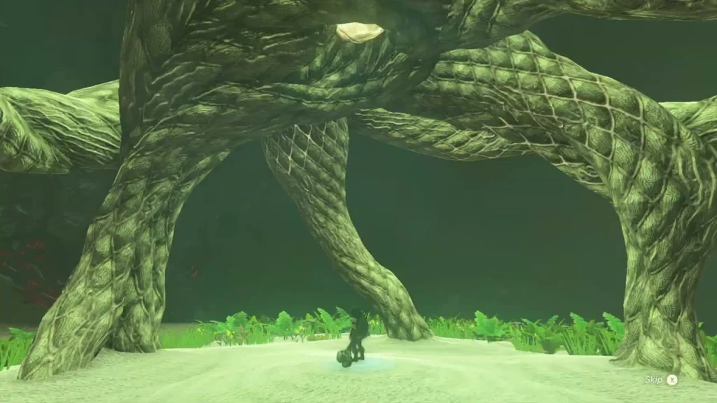 Tall twisted roots of the lit Camobatures Lightroot seen from its base Tall twisted roots of the lit Camobatures Lightroot seen from its base