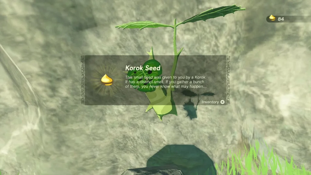Korok Seed reward after placing the rock Korok Seed reward after placing the rock