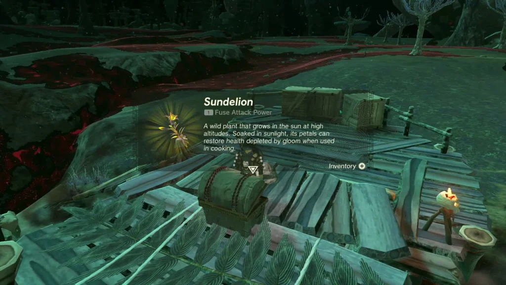 Sundelion held up at the platform chest Sundelion held up at the platform chest