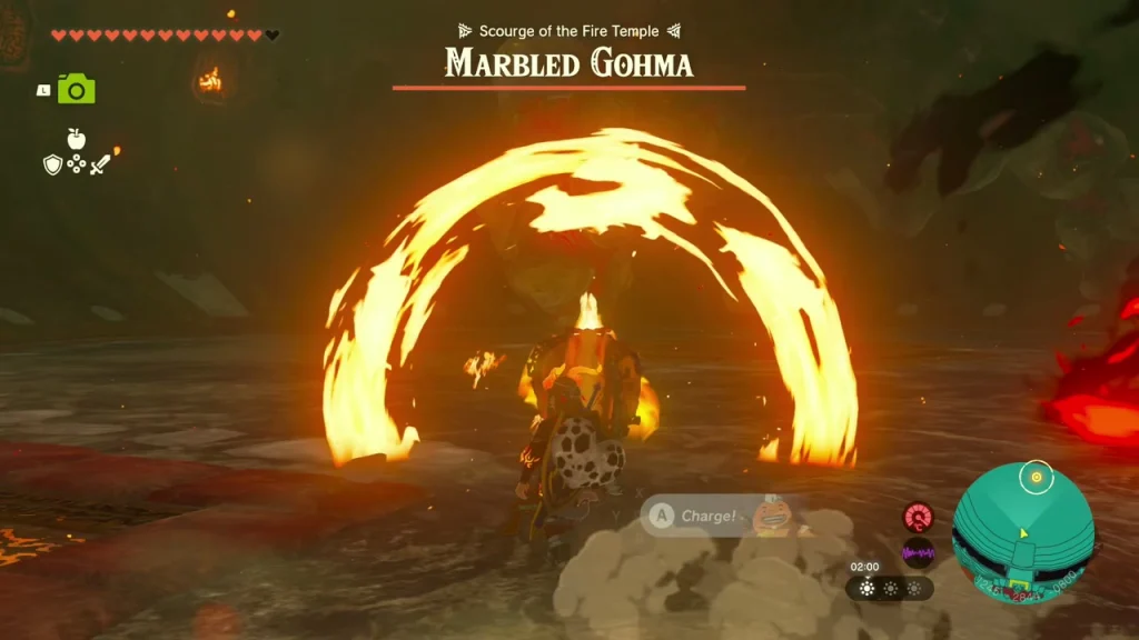 Ring of fire around a fighter in the Marbled Gohma arena Ring of fire around a fighter in the Marbled Gohma arena