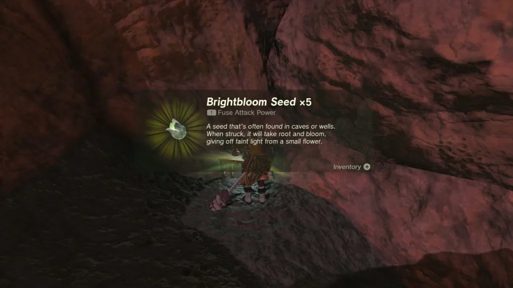 Brightbloom Seed x5 item box in a red-rock cave Brightbloom Seed x5 item box in a red-rock cave