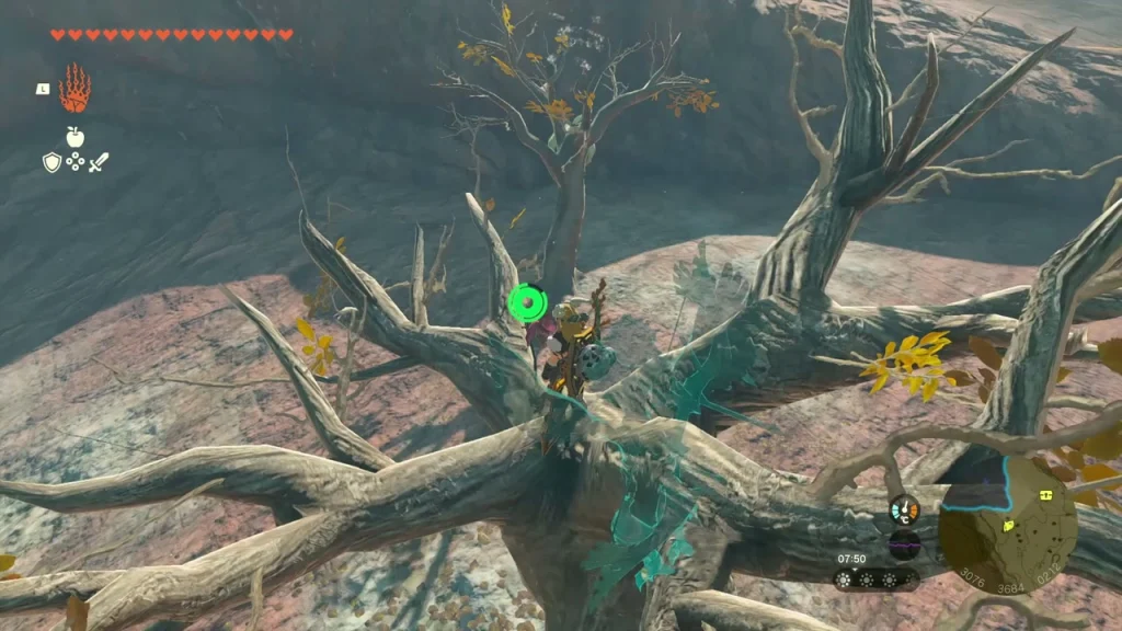 Dead tree on a cliff where the balloon Korok hides Dead tree on a cliff where the balloon Korok hides