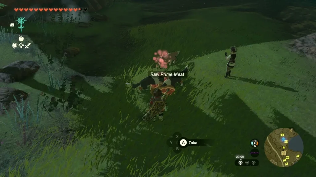 Raw Prime Meat on the grass near the Hylian Retriever below Foothill Stable Raw Prime Meat on the grass near the Hylian Retriever below Foothill Stable